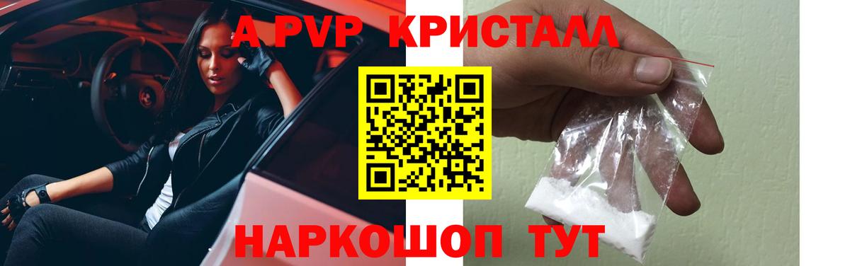 Alfa_PVP СК Кострома