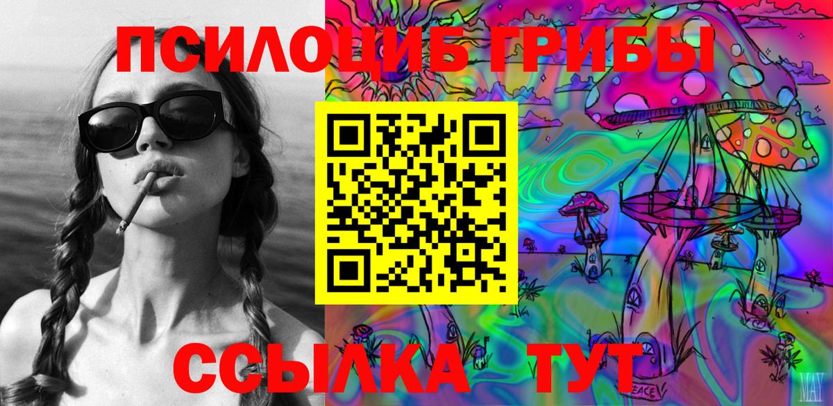 Псилоцибиновые грибы мицелий Кострома